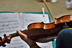 violon-1